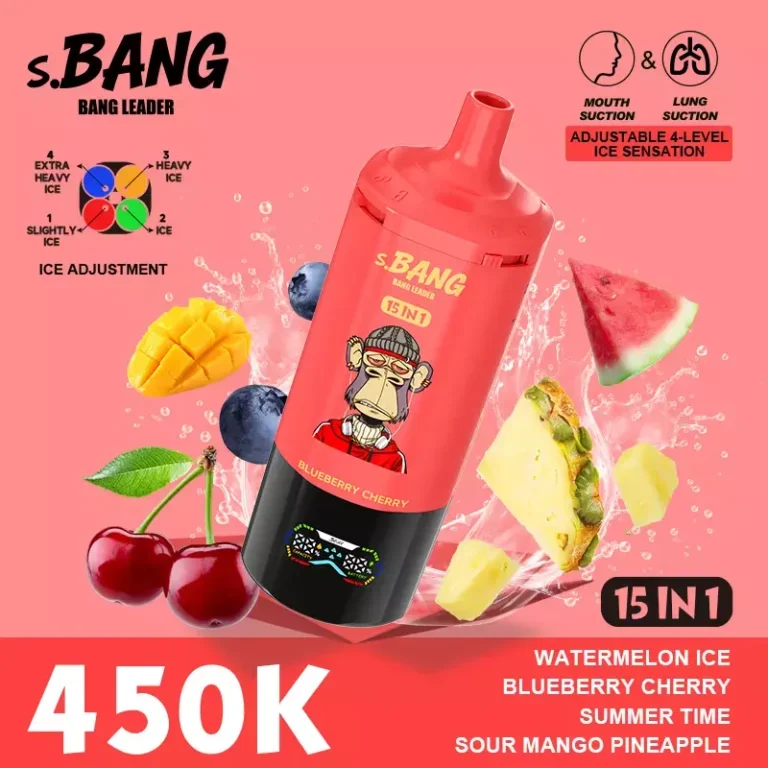 Bang Leader 450K 15in1 - Image 4